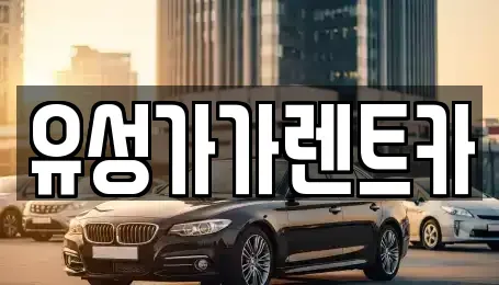 대전 유성구 화암동 렌트카 전문 유성가가렌트카