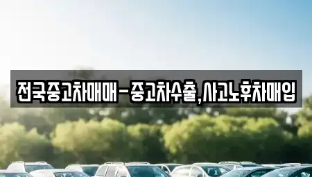 대전 유성구 화암동 중고차매입 전문 전국중고차매매-중고차수출,사고노후차매입