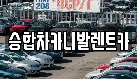대전 중구 안영동 렌트카 전문 승합차카니발렌트카
