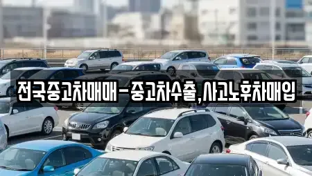 대전 중구 안영동 중고차 전문 전국중고차매매-중고차수출,사고노후차매입