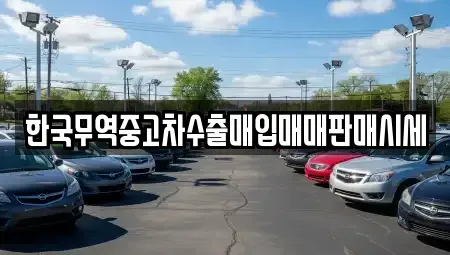 대전 중구 안영동 중고차매입 전문 한국무역중고차수출매입매매판매시세
