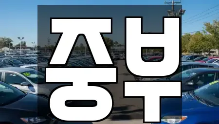 대전 중구 태평동 렌트카 전문 중부