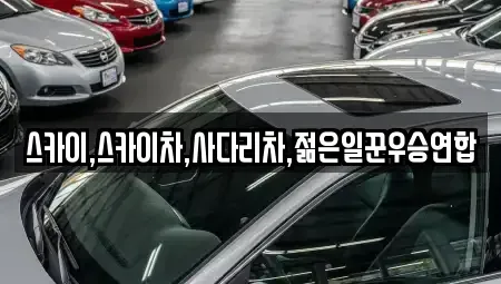 대전 중구 태평동 중고차매매 전문 스카이,스카이차,사다리차,젊은일꾼우승연합