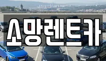 대전광역시 대덕구 신일동 렌트카 전문 소망렌트카