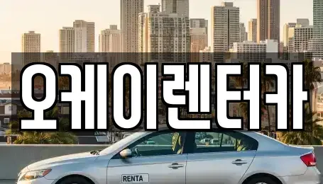대전광역시 대덕구 신일동 렌트카 전문 오케이렌터카