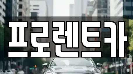 대전광역시 대덕구 신일동 장기렌트카 전문 프로렌트카