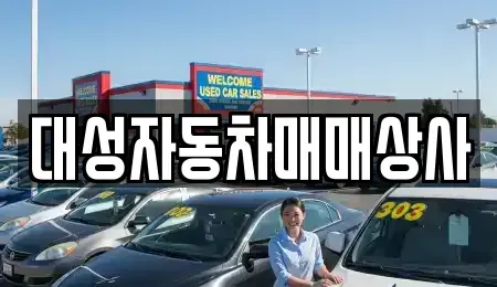 대전광역시 동구 대별동 중고차 전문 대성자동차매매상사