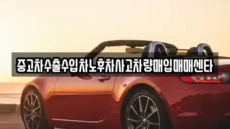 대전광역시 동구 대별동 중고차매입 전문 중고차수출수입차노후차사고차량매입매매센타