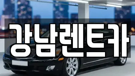 대전광역시 동구 인동 렌트카 전문 강남렌트카