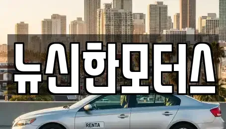 대전광역시 동구 인동 중고차매매 전문 뉴신한모터스