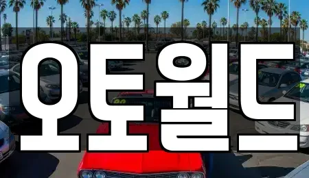 대전광역시 동구 인동 중고차매매 전문 오토월드