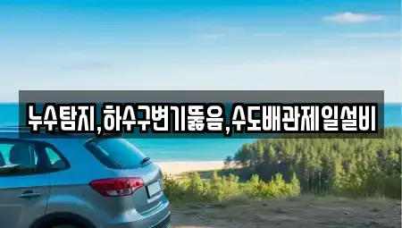 대전광역시 동구 인동 중고차매입 전문 누수탐지,하수구변기뚫음,수도배관제일설비