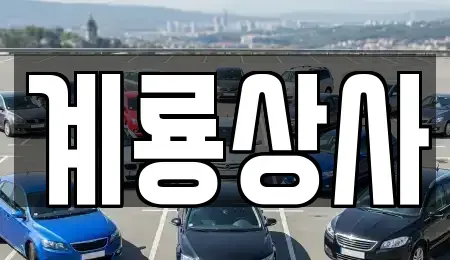 대전광역시 동구 중고차매매 전문 계룡상사