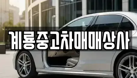 대전광역시 동구 중고차매매 전문 계룡중고차매매상사