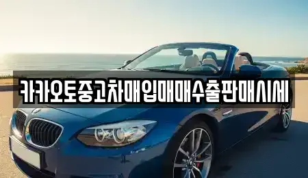 대전광역시 동구 중고차매입 전문 카카오토중고차매입매매수출판매시세