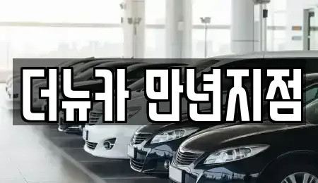 대전광역시 서구 월평동 단기렌트카 전문 더뉴카 만년지점