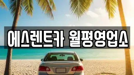대전광역시 서구 월평동 렌트카 전문 에스렌트카 월평영업소