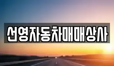 대전광역시 서구 월평동 중고차 전문 선영자동차매매상사