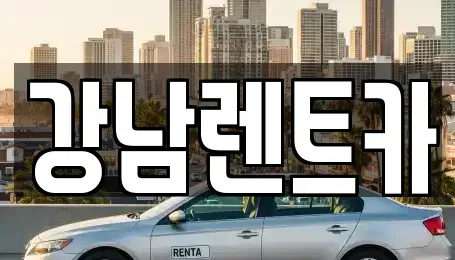 대전광역시 유성구 덕명동 렌트카 전문 강남렌트카