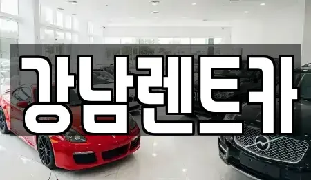 대전광역시 유성구 덕명동 렌트카 전문 강남렌트카