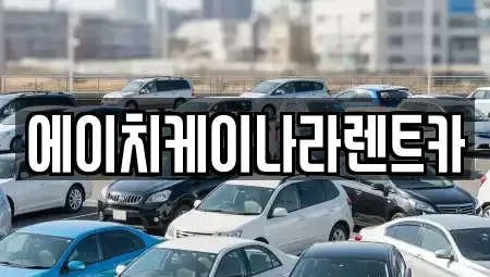 대전광역시 유성구 덕명동 렌트카 전문 에이치케이나라렌트카
