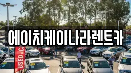 대전광역시 유성구 덕명동 렌트카 전문 에이치케이나라렌트카