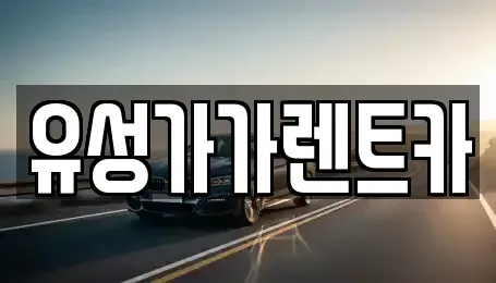 대전광역시 유성구 덕명동 렌트카 전문 유성가가렌트카