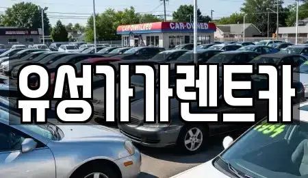 대전광역시 유성구 덕명동 렌트카 전문 유성가가렌트카