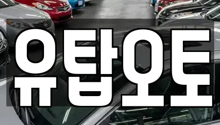 대전광역시 유성구 덕명동 렌트카 전문 유탑오토