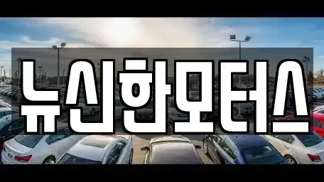 대전광역시 유성구 덕명동 중고차 전문 뉴신한모터스