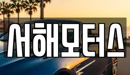 대전광역시 유성구 덕명동 중고차 전문 서해모터스