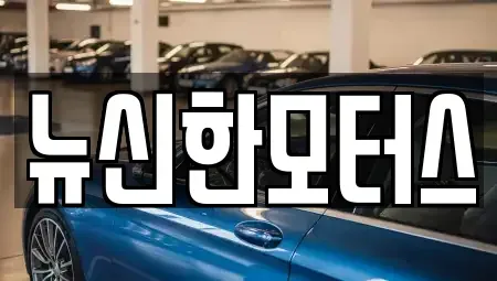 대전광역시 유성구 덕명동 중고차매매 전문 뉴신한모터스