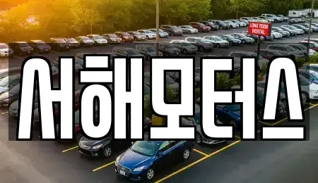 대전광역시 유성구 덕명동 중고차매매 전문 서해모터스
