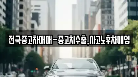 대전광역시 유성구 덕명동 중고차매입 전문 전국중고차매매-중고차수출,사고노후차매입