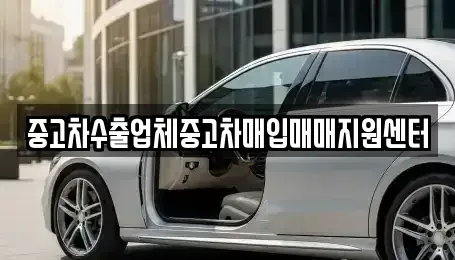 대전광역시 유성구 덕명동 중고차매입 전문 중고차수출업체중고차매입매매지원센터