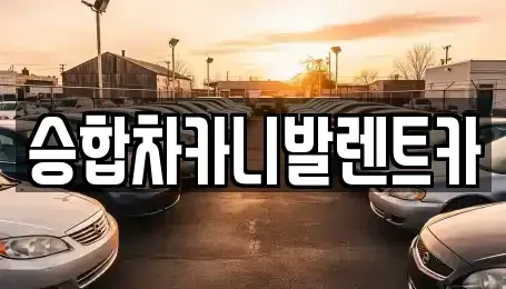 대전광역시 유성구 용산동 렌트카 전문 승합차카니발렌트카