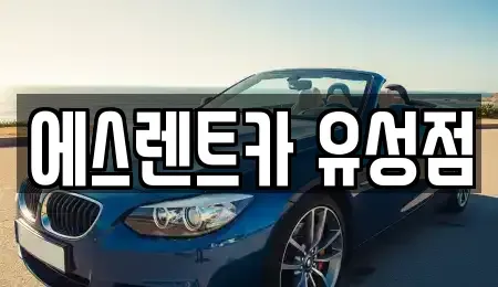 대전광역시 유성구 장대동 렌트카 전문 에스렌트카 유성점