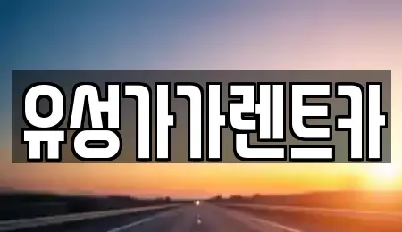 대전광역시 유성구 장대동 렌트카 전문 유성가가렌트카