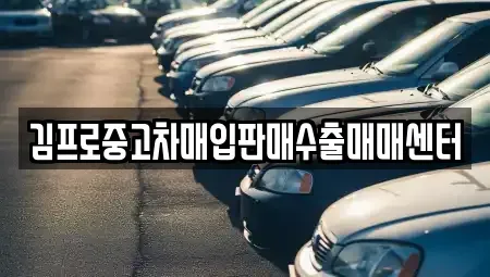 대전광역시 유성구 장대동 중고차매매 전문 김프로중고차매입판매수출매매센터