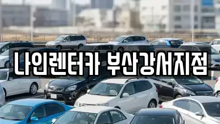 부산 강서구 범방동 렌트카,단기렌트카,장기렌트카,중고차,중고차매매,중고차매입