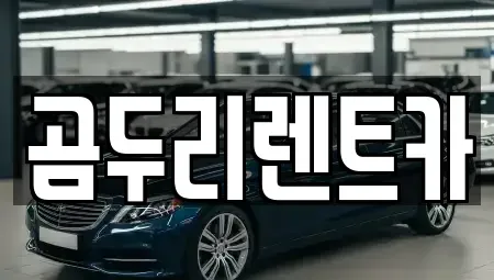 부산 금정구 부곡동 렌트카 전문 곰두리렌트카