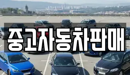 부산 금정구 부곡동 중고차매매 전문 중고자동차판매