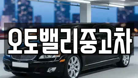 부산 사상구 덕포동 중고차 전문 오토밸리중고차