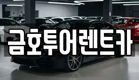 부산 사하구 장림동 장기렌트카 전문 금호투어렌트카