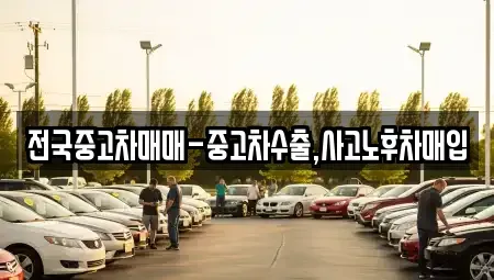 부산 사하구 장림동 중고차매매 전문 전국중고차매매-중고차수출,사고노후차매입