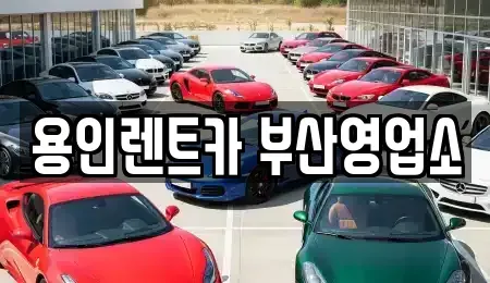 부산 해운대구 재송동 렌트카 전문 용인렌트카 부산영업소