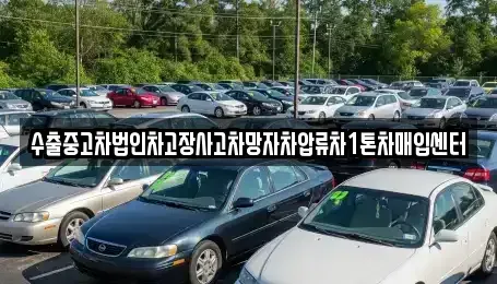 부산 해운대구 재송동 중고차매입 전문 수출중고차법인차고장사고차망자차압류차1톤차매입센터