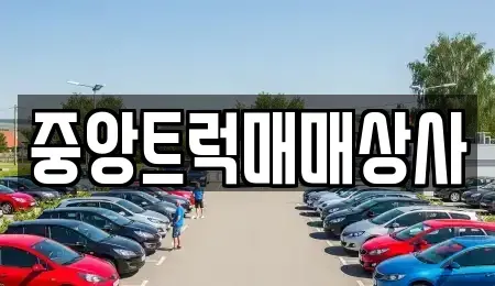부산광역시 강서구 송정동 중고차,렌트카,중고차매입,중고차매매,장기렌트카,단기렌트카