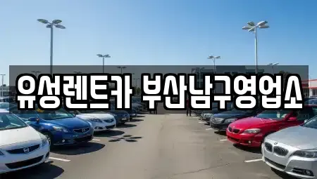 부산광역시 남구 용호동 렌트카 전문 유성렌트카 부산남구영업소