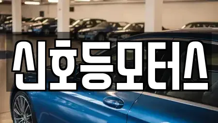 부산광역시 남구 용호동 중고차 전문 신호등모터스